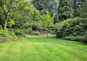 Optimiser l'expérience du jardin à Saintry-sur-Seine